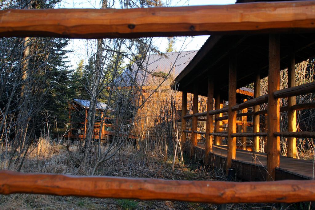 Wise Old Hunter Lodge Anchor Point Exterior foto