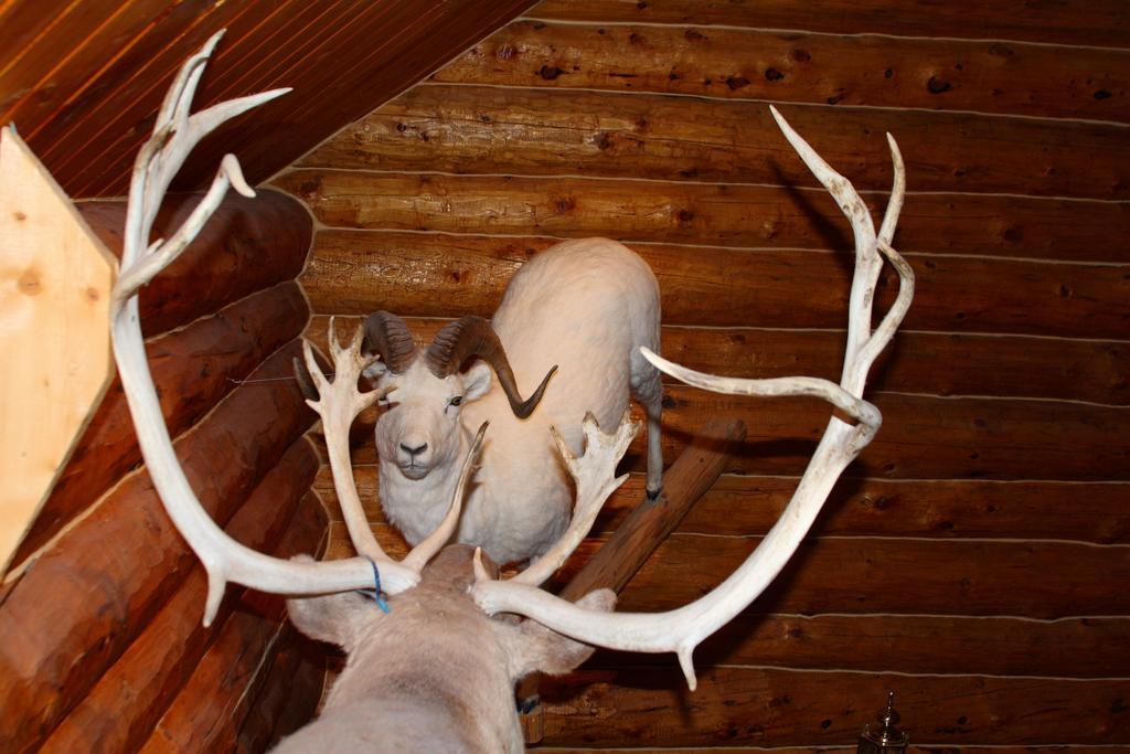 Wise Old Hunter Lodge Anchor Point Habitación foto