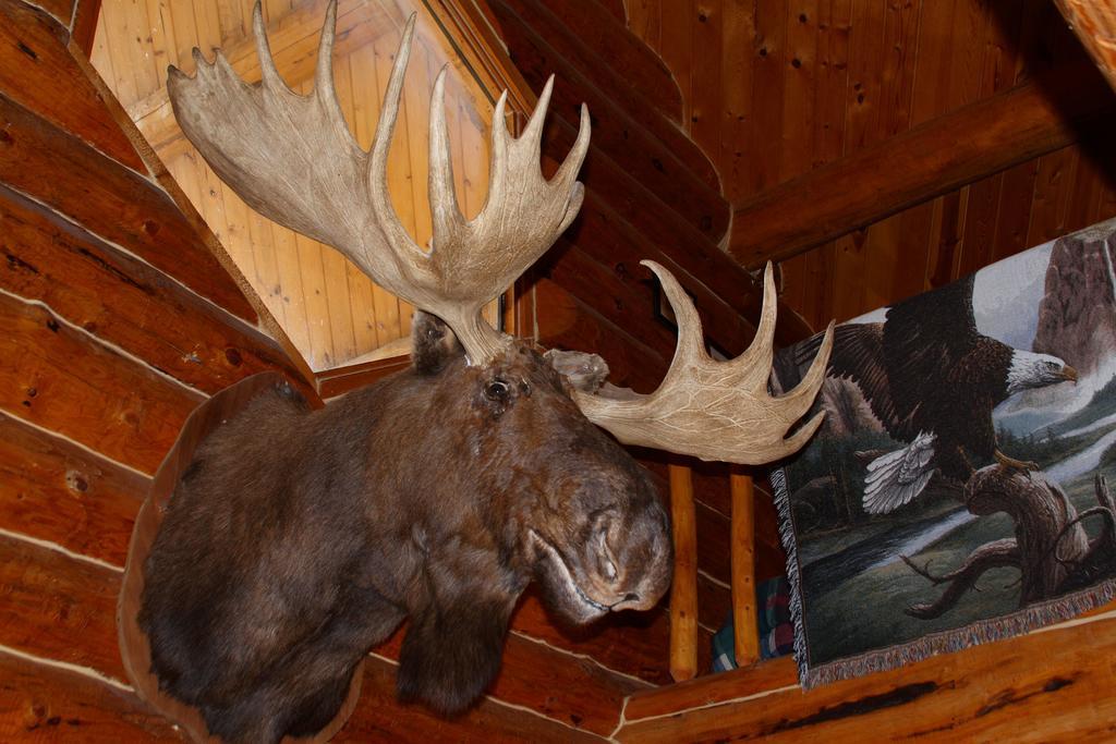 Wise Old Hunter Lodge Anchor Point Habitación foto
